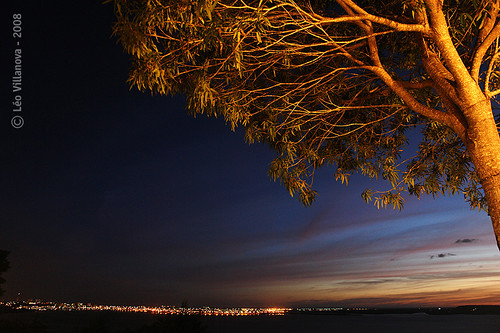 sunset brazil tree brasil noturna nightview árvore maceio alagoas frenteafrente ltytr1