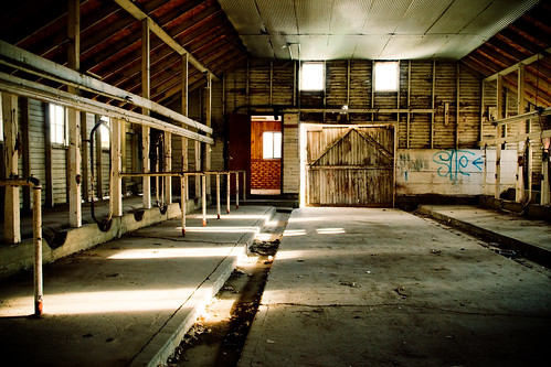 building abandoned barn digital rural graffiti utah decay farm dairy filthy draper d300 stockyard feedhouse