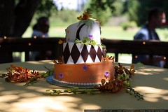 Rachel and Sean's wedding cake 