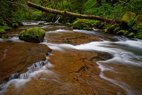 oregon creek forest stream sweet or national cascades mapleton coastrange sweetcreek siuslaw