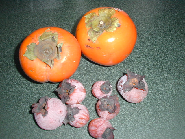 Comparing persimmons to persimmons