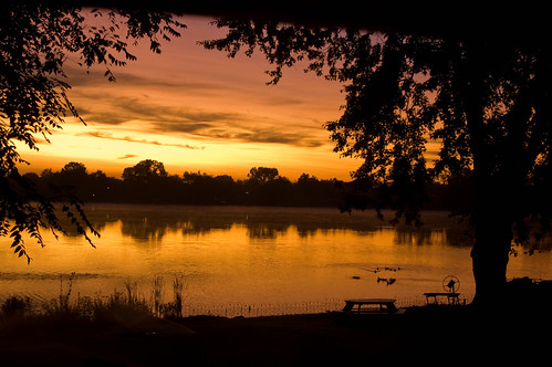 orange sunrise geese ducks waterford