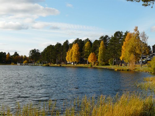 autumn lake europe sweden arvidsjaur nyborgstjärn