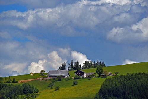 trees sky clouds geotagged austria grove hill meadow steiermark styria farmsteads birkfeld mygearandme mygearandmepremium