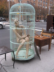 Mannequin in a Cage