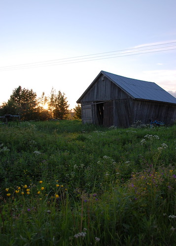flowers sunset sweden barns places villages fields midnightsun juoksengi