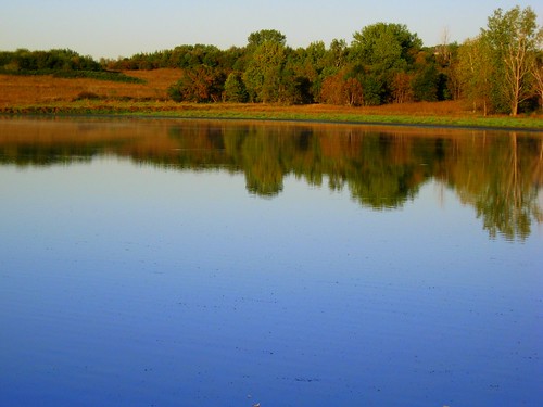 wild lake flower reflection nature pond nebraska millard omaha eakins chalco 93008