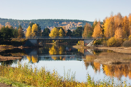 bridge autumn fall water colors leaves yellow creek canon ljusdal eos40d
