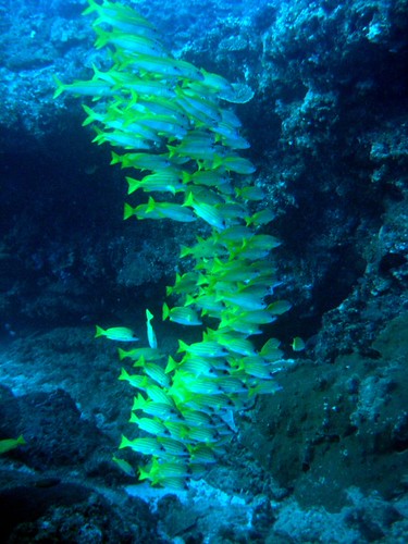 Sodwana Bay