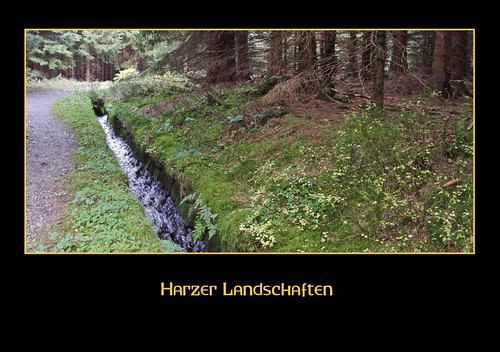 germany landscapes unescoworldheritage harz niedersachsen ph014 unescoweltkulturerbe dammgraben riesenfotos schwarzeserie oberharzerwasserregal