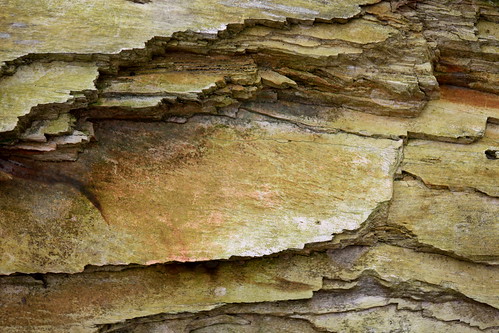 wood rock textures layers petrifiedwood deltariversnaturecenter
