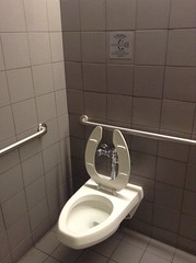 Dual flushing toilet