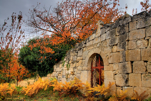 autumn fall landscape cementerio paisaje otoño burgos castillaleon basajauntxo ysplix quintanalacuesta