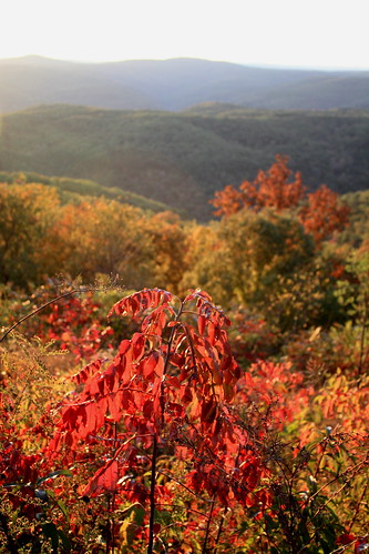 autumn mountains fall bokeh scenic lookout arkansas overlook ozarks 450d rotaryann
