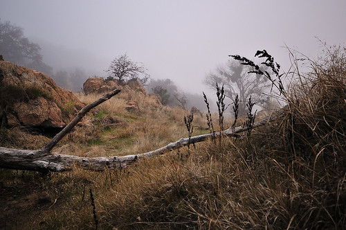 mist nature fog landscape weeds nikon branch d300 knightsferry keithwerner