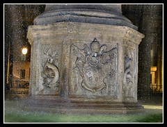 'Underwater detail' - Fontana di Piazza San Pietro, Roma