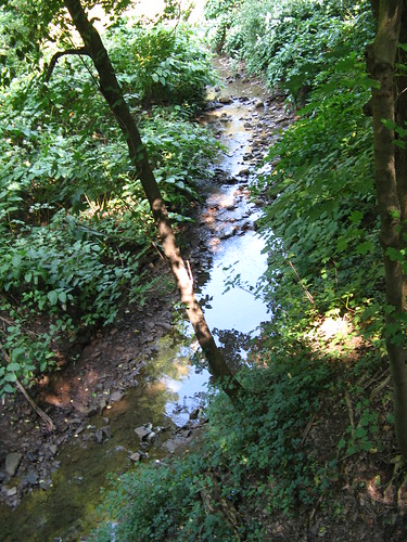 nature water river stream brook streams blairsville blairsvillepa