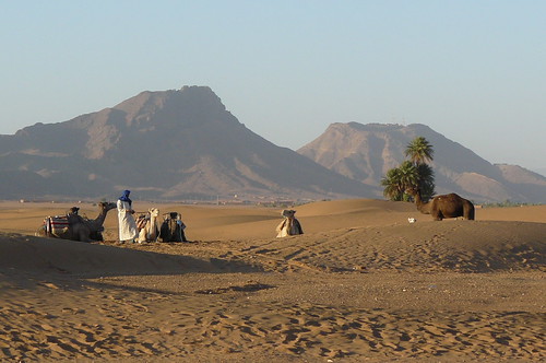 nomadic pastoralists of the Arabian peninsula; culture based on camel and goat nomadism; early converts to Islam