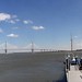 Charleston Cooper River Bridge Panoramic