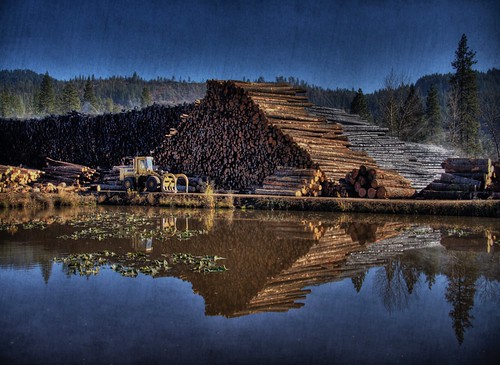 california wood reflection texture mill industry water landscape timber logs hdr lumber weaverville photomatix 200811