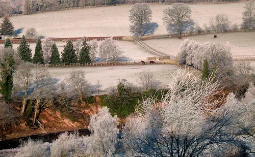 uk morning blue trees winter sky horses colour green water sunshine canon river landscape scotland frost december hills fields a620 scottishborders tweedriver aplusphoto