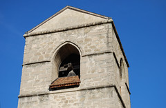 St-Saphorin (Vaud) (5)