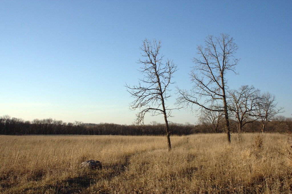 Open prairie.  Image credit: Laikolosse (CC-BY-NC).