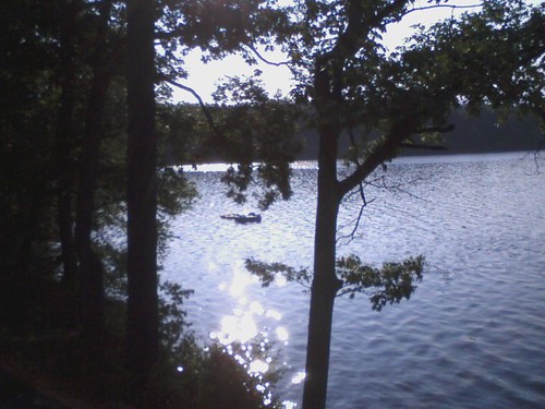 light lake tree water vermont phone sunsetlake