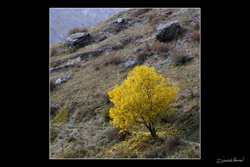 mountain landscape nikon autunno paesaggi montagna valledaosta d300 granparadiso valsavarenche abigfave pngp theunforgettablepictures tignet