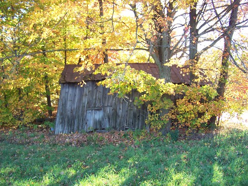 abandoned shed ulstercountyny plattekillny