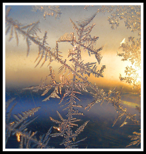 winter cold macro ice window sunrise frozen frost sony iceplant thunderbay dscw50