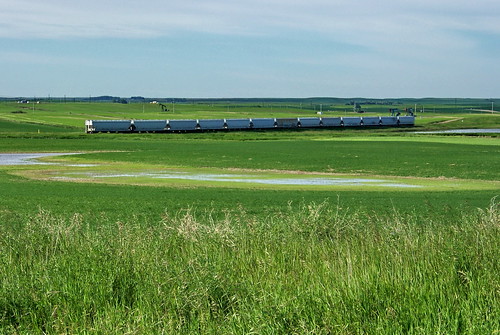 morning blue canada color colour green riverside farm railway sk prairie saskatchewan agriculture 2011 canadagood greatsandhillsrailway thisdecade