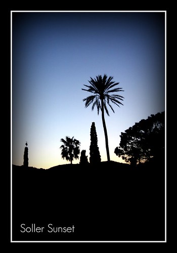 sunset silhouette palmtree soller