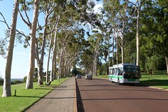 Fraser Avenue, Perth