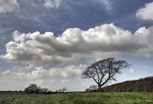 tree clouds pastoral hdr susssex hdrpro parkwoodfarm