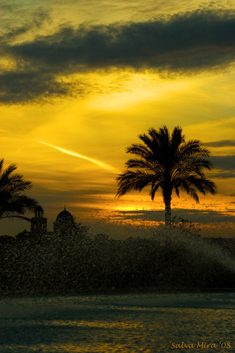sunset fountain fuente rotonda palmtree font puestadesol palmera benidorm postadesol rodona capvespre abigfave salvamira