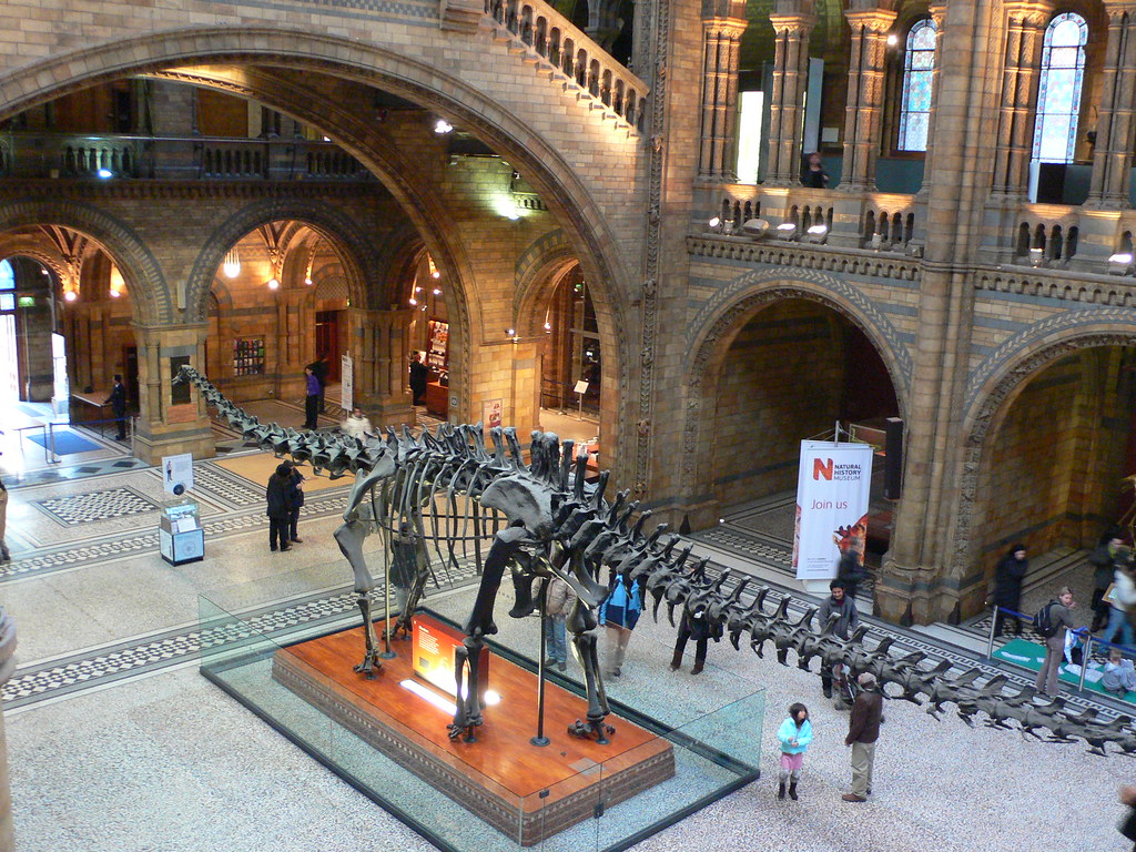 Museo de historia natural