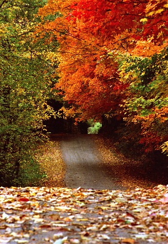autumn 35mm fallcolors country newengland newhampshire fallfoliage dirtroad konicatcx plainfieldnh meridennh