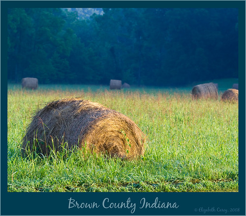 indiana browncounty in