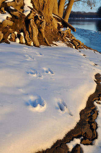 sunset snow river tracks footprints indiana wabash nikond90