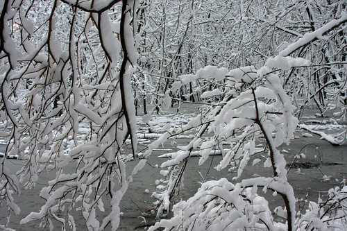 winter white snow massachusetts evenmoresnow moresnow chicopeeriverdelta
