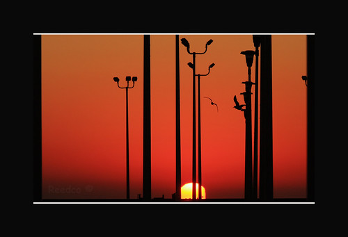 usa sun sol sunrise canon eos texas amanecer aurora alborada salidadelsol flickrsbest 40d canoneos40d 20tfminimalismo eduardomuriedas