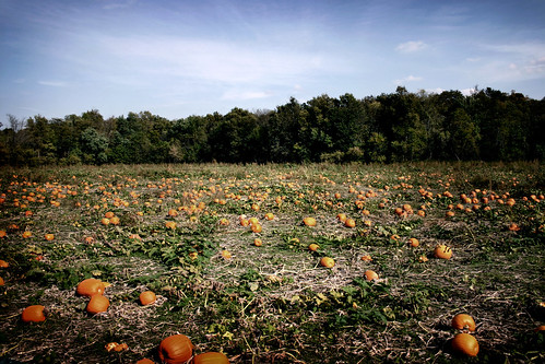 sky fall mill field clouds farm pumpkins cider kansas patch louisburg