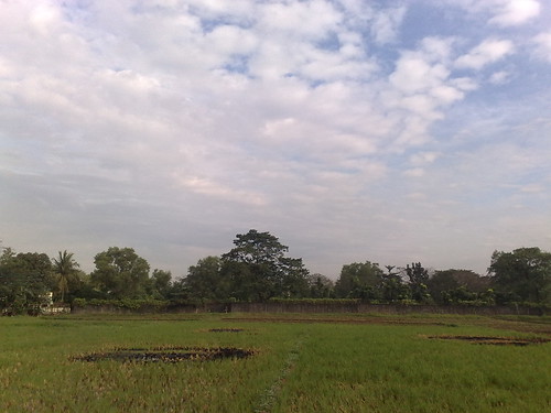 morning field geotagging nokia6220