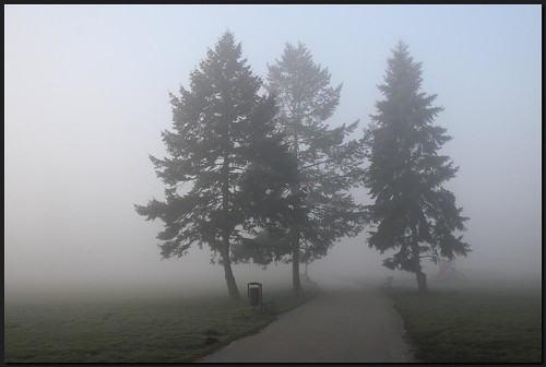 morning trees misty geotagged sunday dzwjedziak anawesomeshot parkjordana geo:lat=50063978 geo:lon=19915906