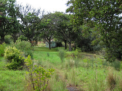 Abandoned Rhodes Zoo - Along a path