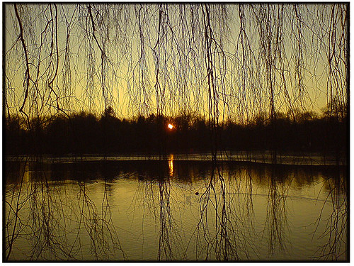 sunset magichour stadspark sayinggoodbye turnhout sunsetsandsunrisesgold