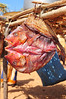 Mozambique dried fish "doubleface"