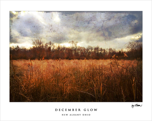winter landscape december textures elements layers 2008 newalbany goldenheartaward artistictreasurechest