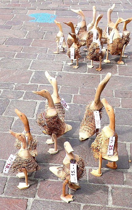 Ducks for sale outside shop in Solothurn